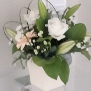 Meet your Posher, Tammy